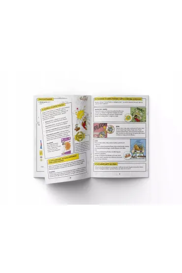 Asterix i spółka - Strategiczna Gra Karciana3.webp