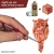 The Army Painter Speedpaint 2.0 - Aged Hide_2.jpg