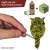 The Army Painter Speedpaint 2.0 - Algae Green_2.jpg