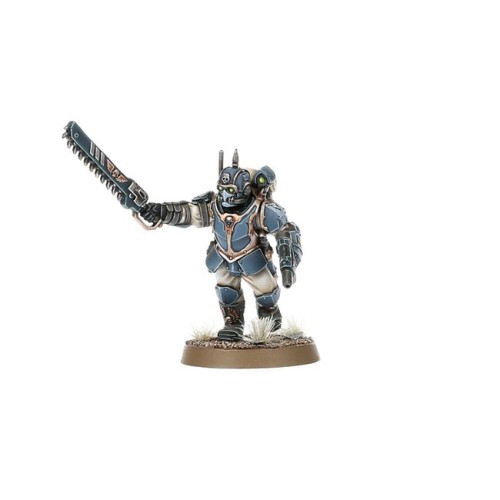 ASTRA MILITARUM TEMPESTUS SCIONS_2.jpg