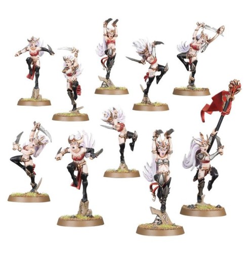 DAUGHTERS OF KHAINE WITCH AELVES_1.jpg