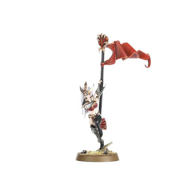 DAUGHTERS OF KHAINE WITCH AELVES_3.jpg