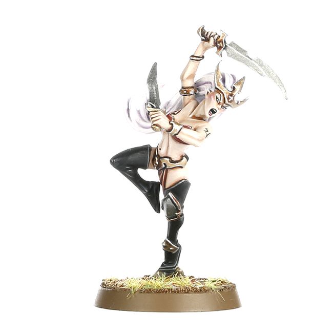 DAUGHTERS OF KHAINE WITCH AELVES_4.jpg