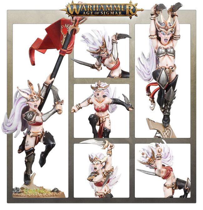 DAUGHTERS OF KHAINE WITCH AELVES_5.jpg