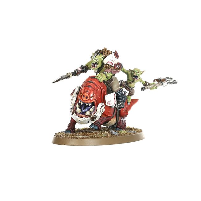 ORKS SQUIGHOG BOYZ_3.jpg