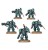 Einhyr Hearthguard1.jpg