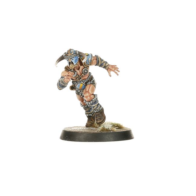 BLOOD_BOWL__NORSE_TEAM_3.jpg