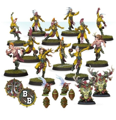 BLOOD_BOWL__WOOD_ELF_TEAM_1.jpg