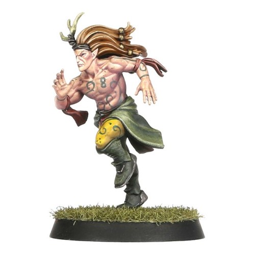 BLOOD_BOWL__WOOD_ELF_TEAM_2.jpg