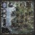 rebel-gra-strategiczna-brass-lancashire-asset2.jpg
